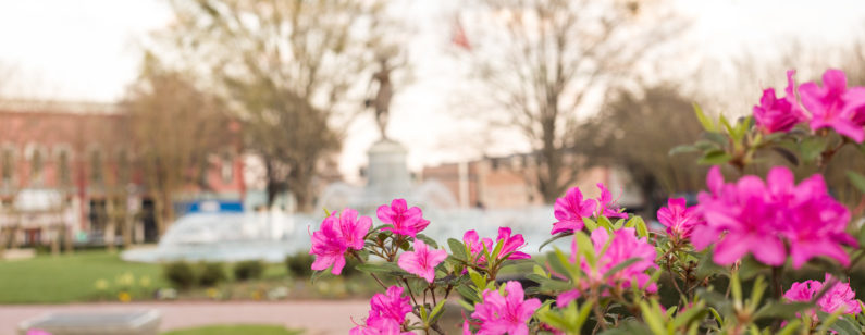 Downtown-LaGrange-Georgia-Azaleas