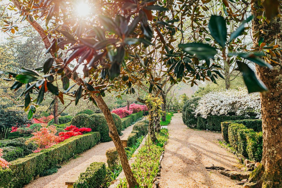 Azaleas-Hills-and-Dales-Estate-Visit-LaGrange