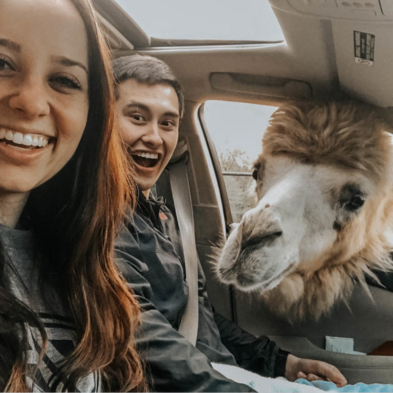 Wild Animal Safari Visit LaGrange