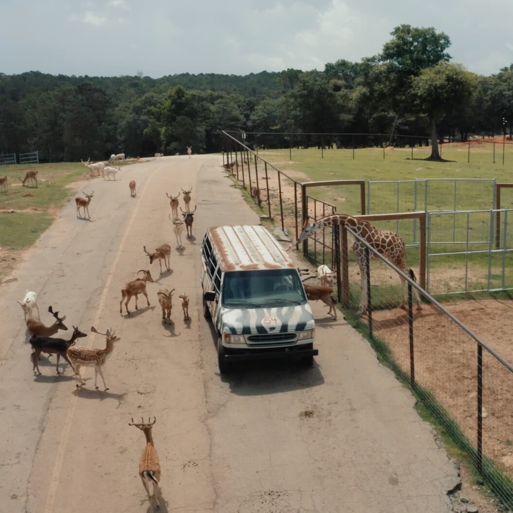 Skip-Gen-Visit-LaGrange-Wild-Animal-Safari