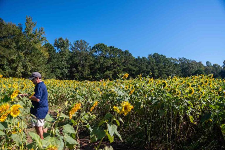 Abbottsford Farms Pumpkin Patch Visit LaGrange