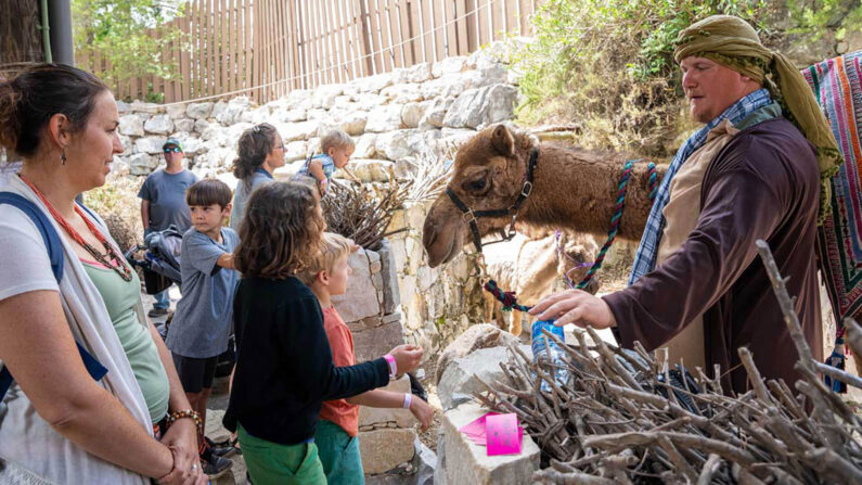 Visit-LaGrange-Biblical-History-Center-Camel-Children