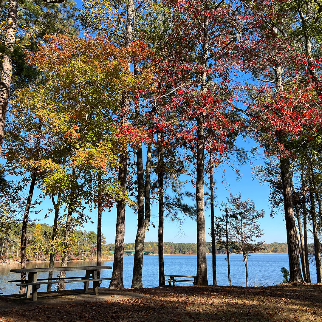 West Point Lake Fall