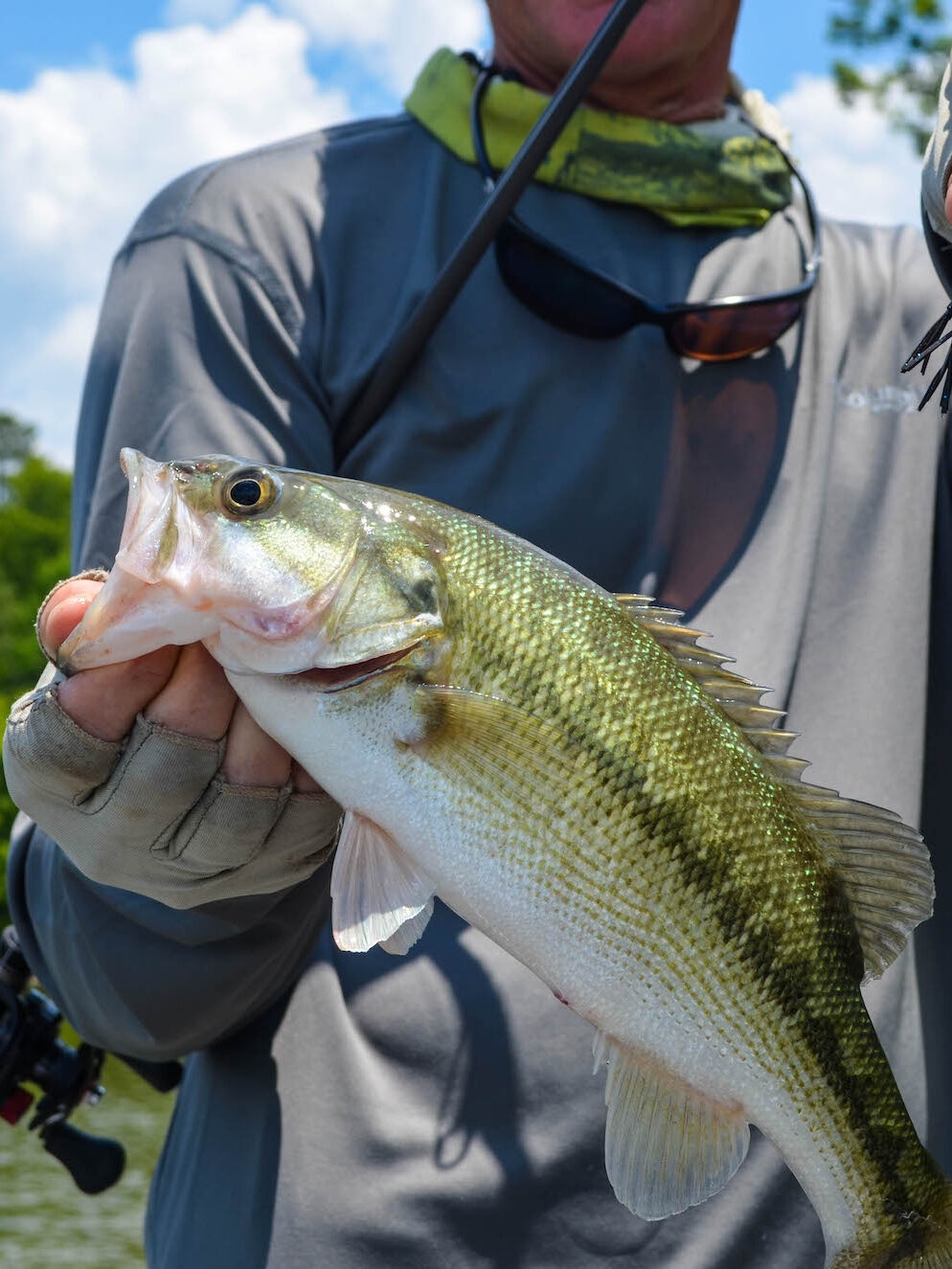 West-point-lake-fishing-bass-spotted-lagrange-georgia