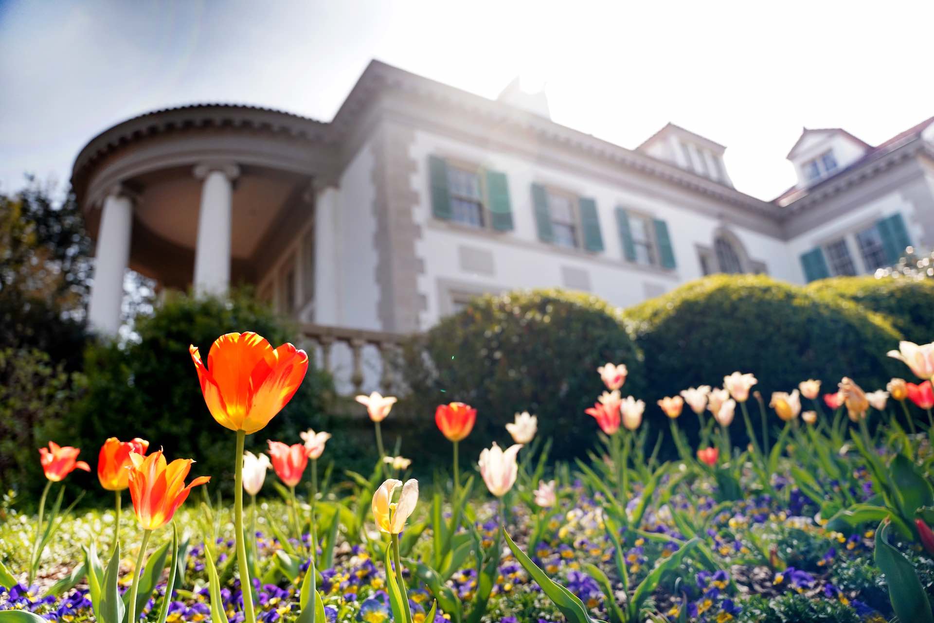 hills-and-dales-tulip-spring-visit-lagrange