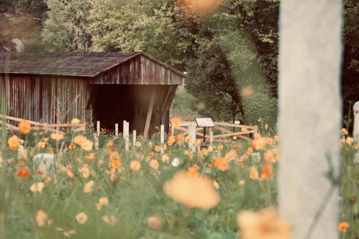 Horace King's covered bridge with wildflowers at Mulberry Street Cemetery in LaGrange, Georgia.