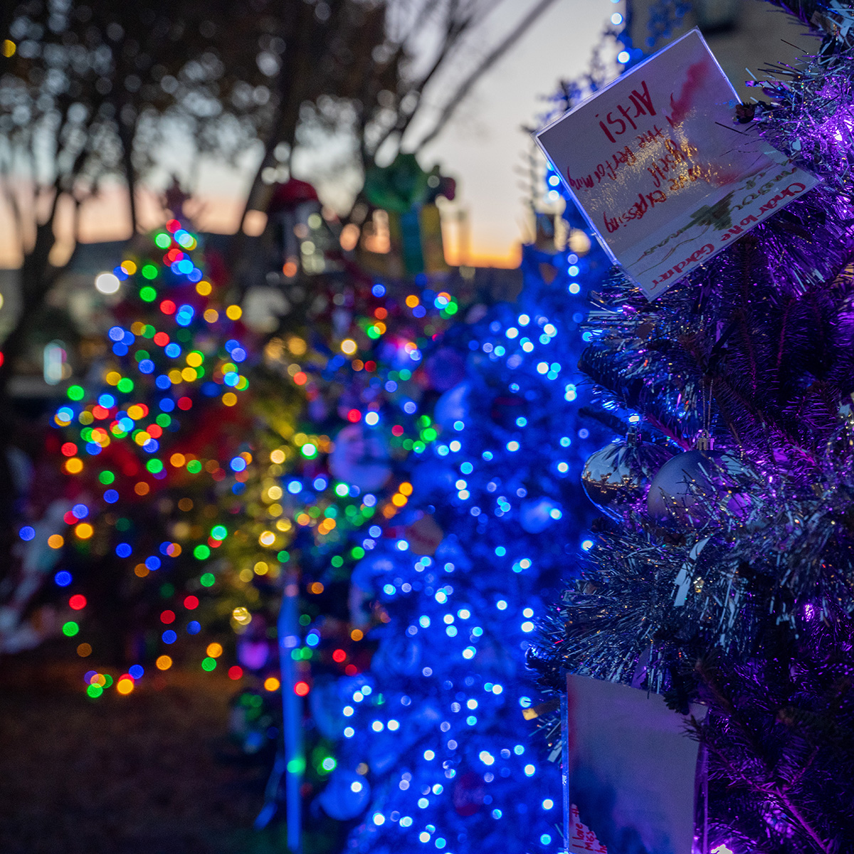 tinsel-trail-1x1-lights-visit-lagrange-georgia