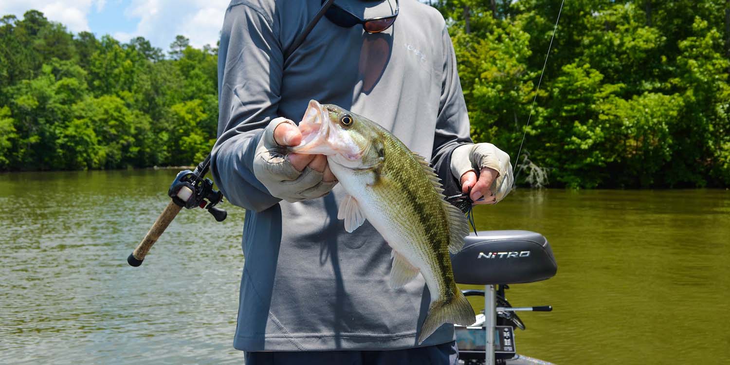 West Point Lake Fishing Guide